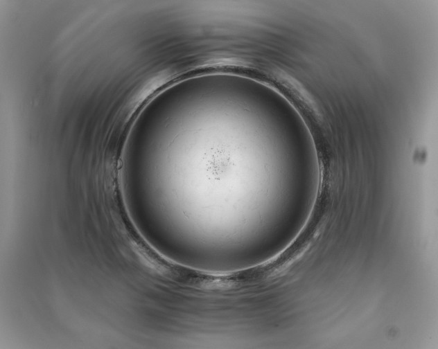 X0000091081321200708131246