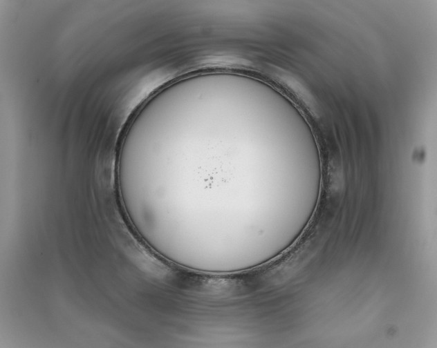 X0000091081322200708131246