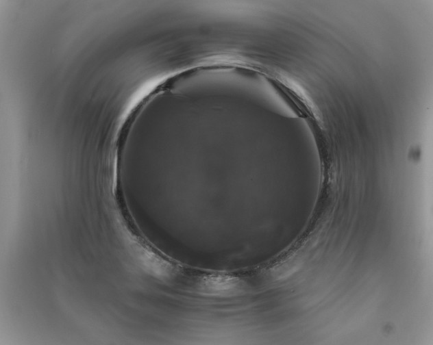 X0000091081323200708131246