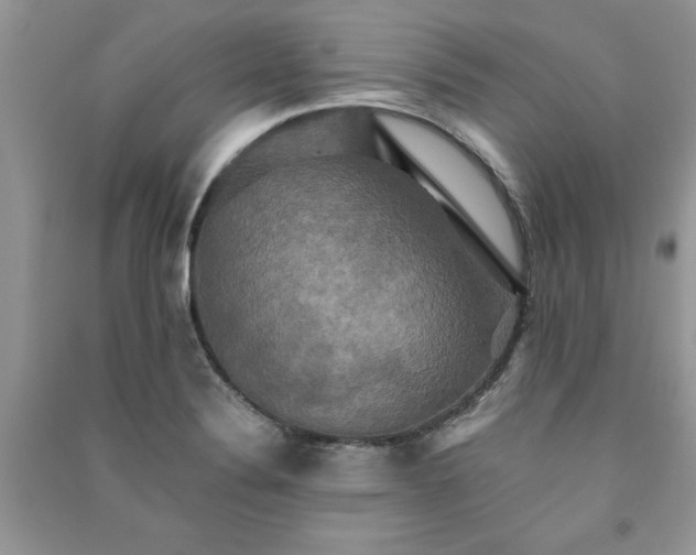 X0000091081324200708131246