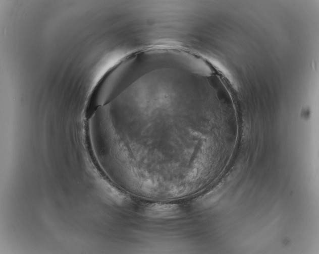 X0000091081325200708131246