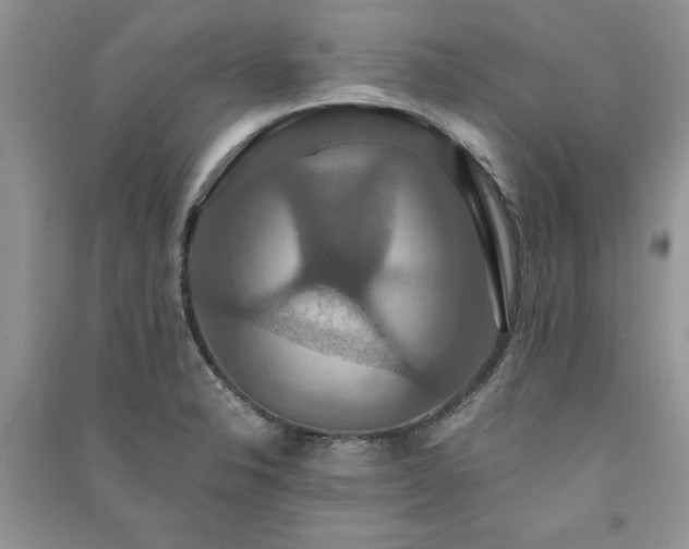 X0000091081326200708131246