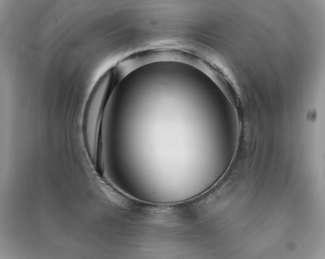 X0000091081328200708131246