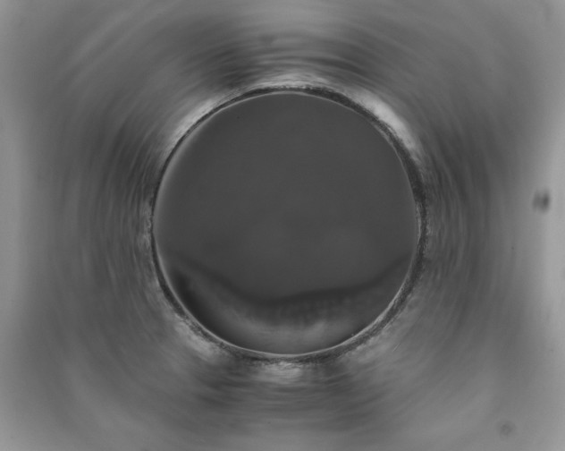 X0000091081329200708131247