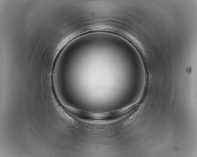 X0000091081330200708131247