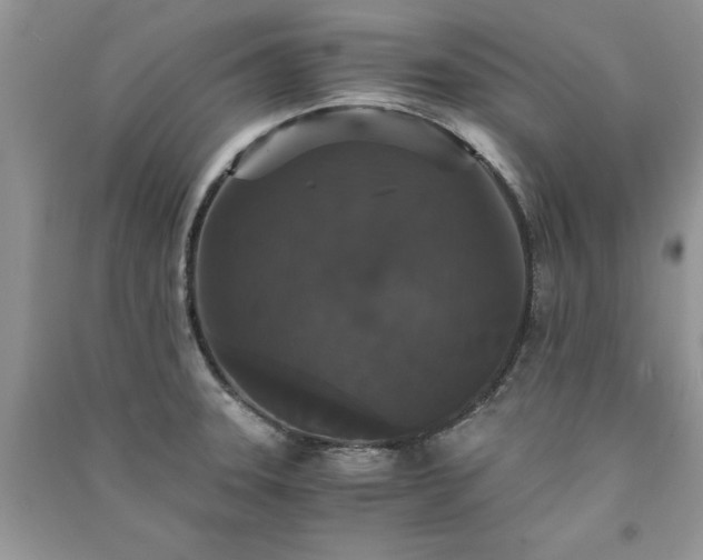 X0000091081331200708131247