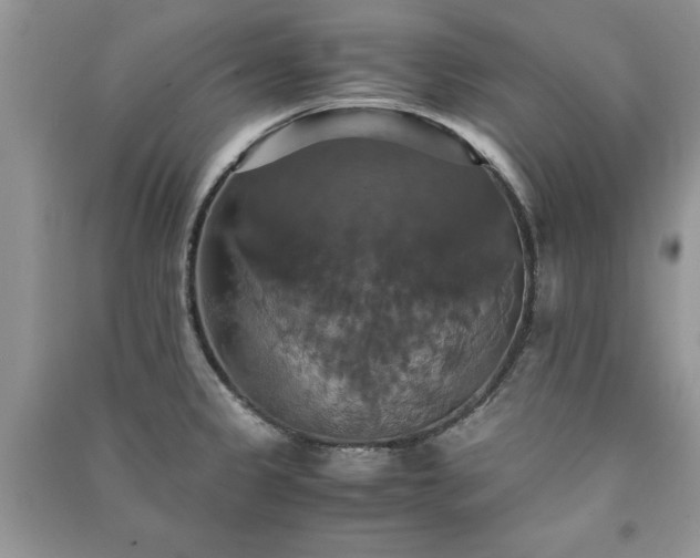 X0000091081333200708131247