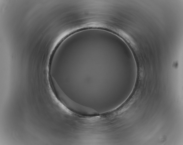 X0000091081334200708131247