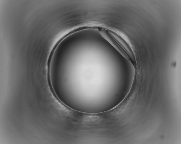 X0000091081335200708131247