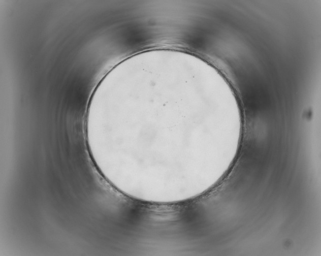 X0000091081338200708131247