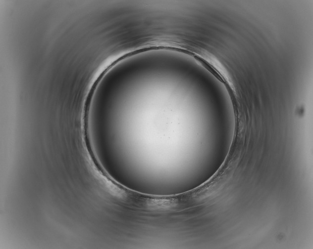 X0000091081339200708131247