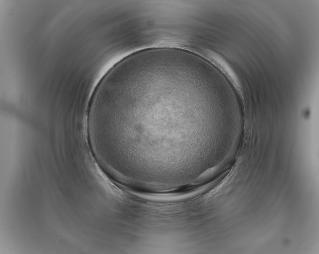 X0000091081340200708131247