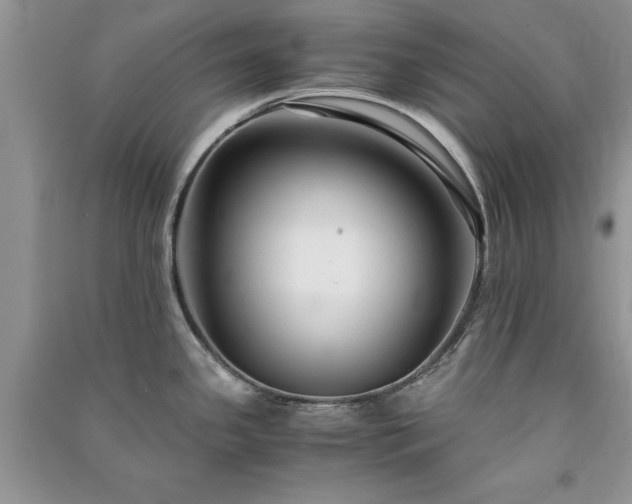 X0000091081341200708131247