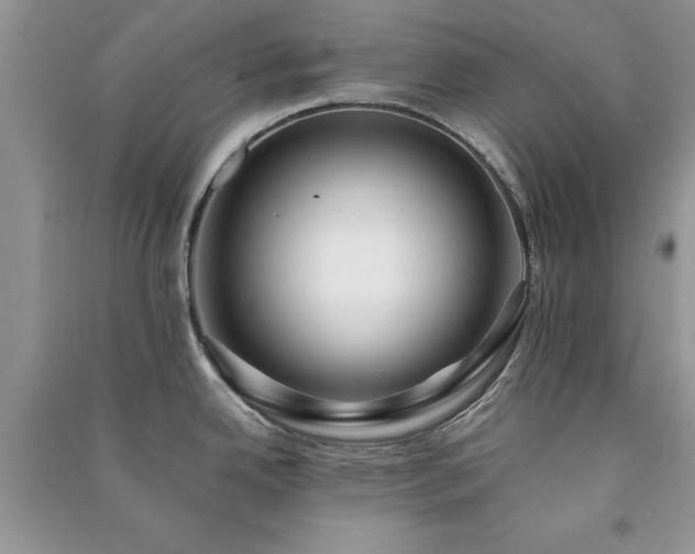 X0000091081342200708131247