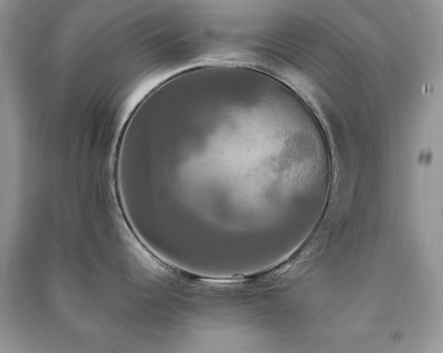 X0000091081344200708131247