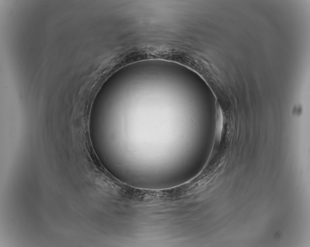 X0000091081345200708131246