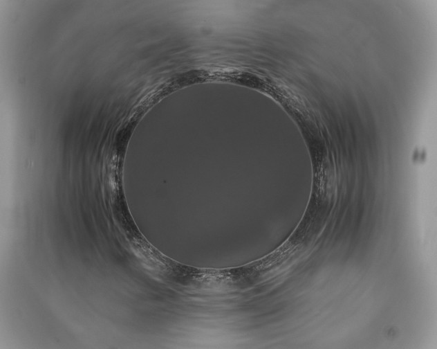 X0000091081346200708131246