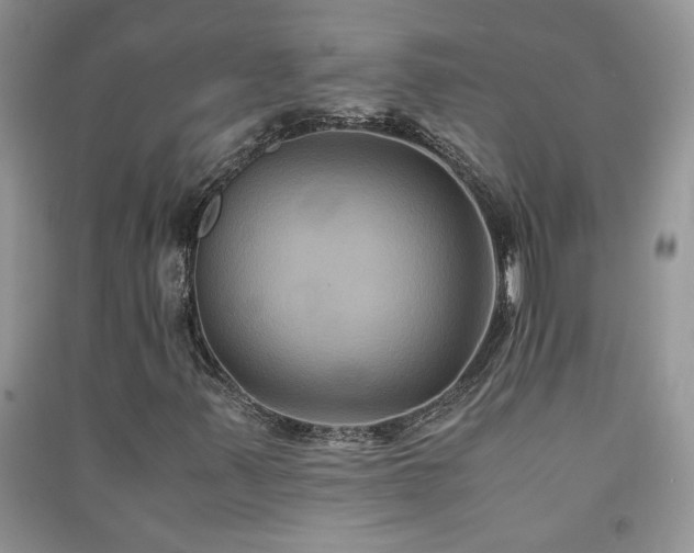 X0000091081347200708131246