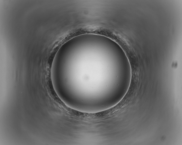 X0000091081349200708131246