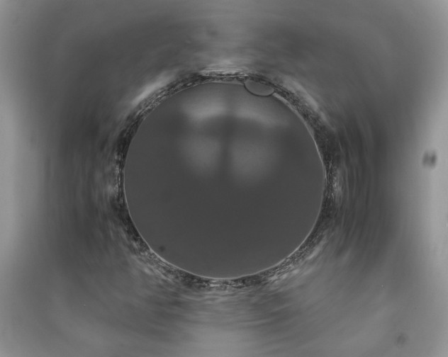 X0000091081350200708131246