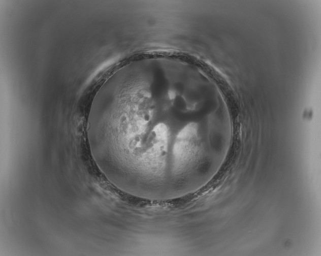 X0000091081351200708131246