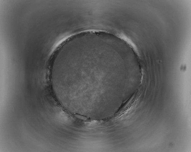 X0000091081352200708131246