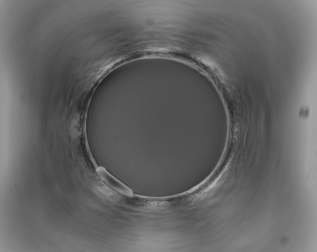 X0000091081353200708131246