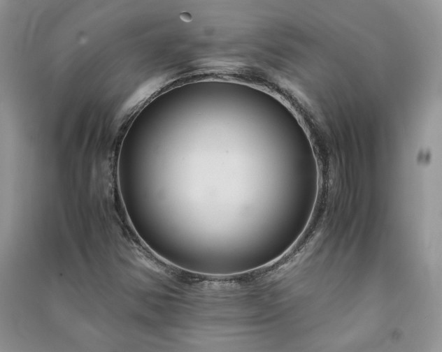 X0000091081354200708131246