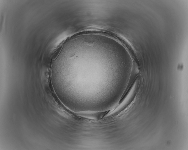 X0000091081355200708131246