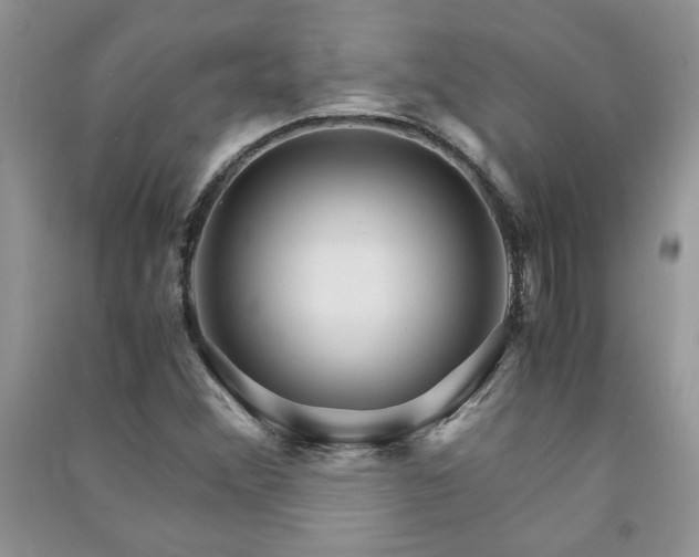 X0000091081356200708131246