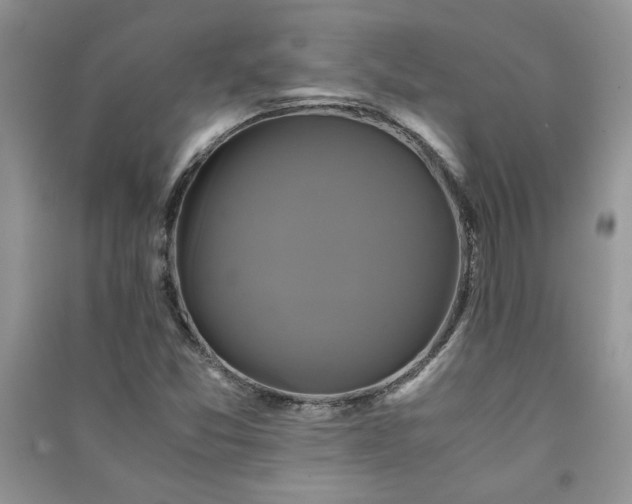 X0000091081357200708131246