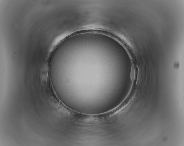 X0000091081358200708131246