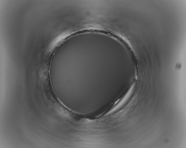 X0000091081359200708131246