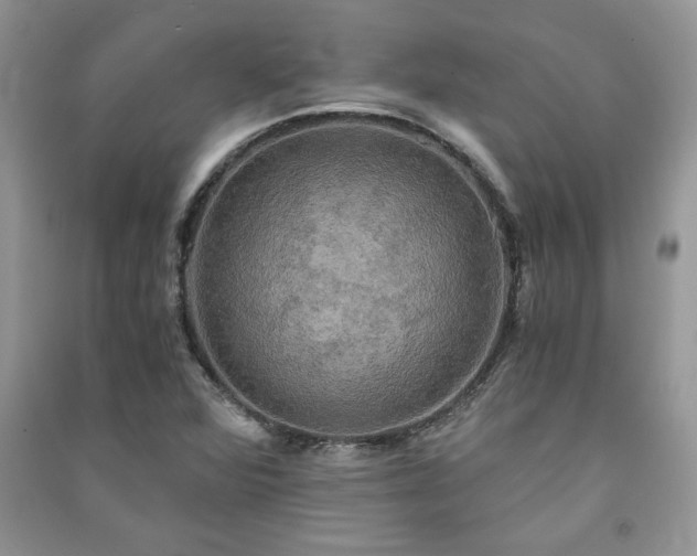 X0000091081360200708131246