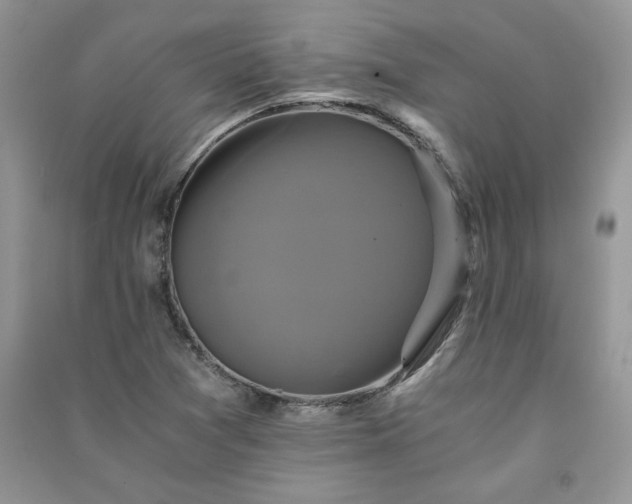 X0000091081361200708131246