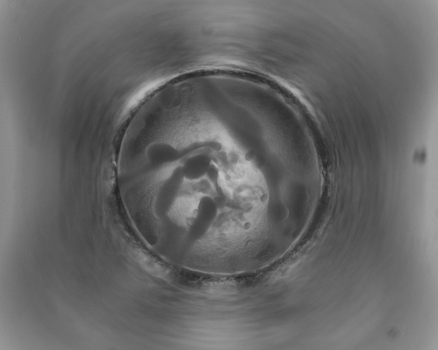 X0000091081363200708131246