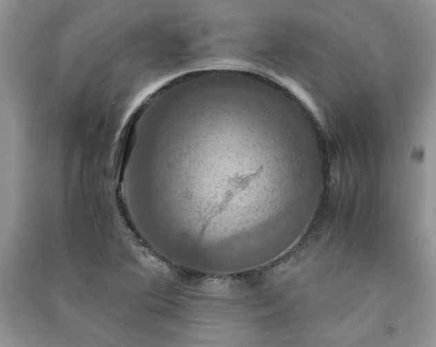 X0000091081364200708131246