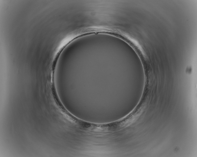 X0000091081365200708131246