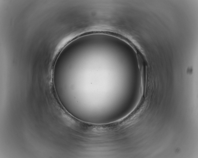 X0000091081366200708131246