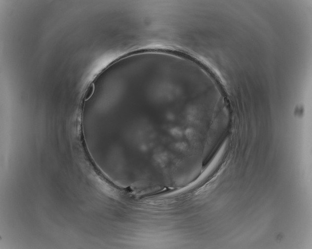 X0000091081367200708131246