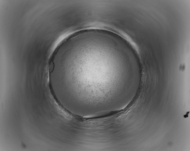 X0000091081368200708131246