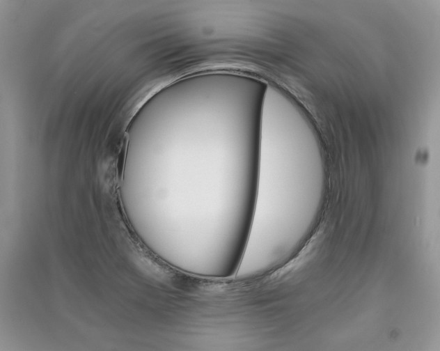 X0000091081369200708131246