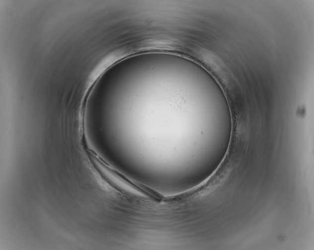 X0000091081370200708131246