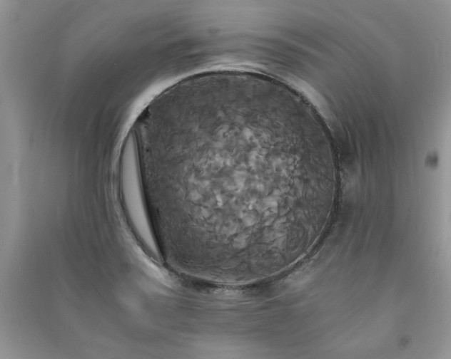 X0000091081371200708131246