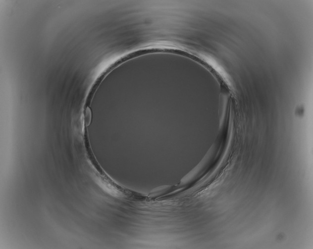 X0000091081372200708131246