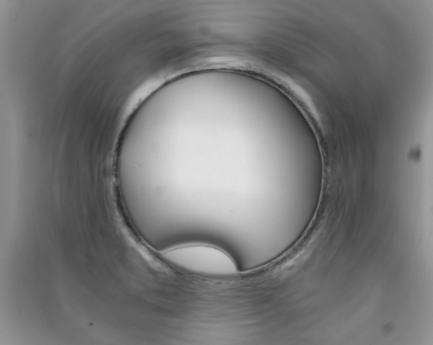 X0000091081373200708131246