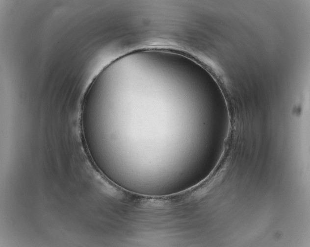 X0000091081374200708131246