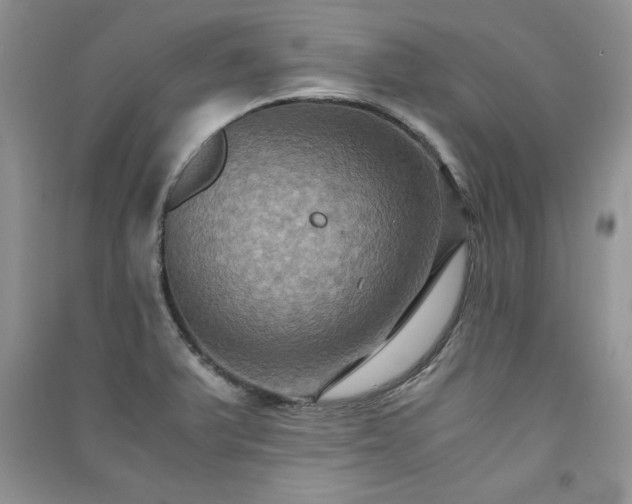 X0000091081375200708131246