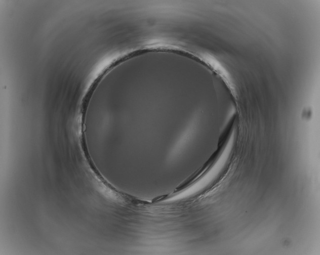 X0000091081376200708131246