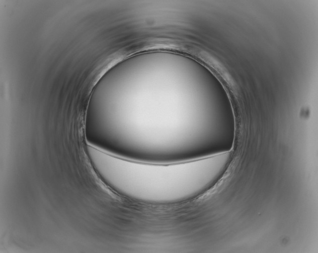 X0000091081377200708131246